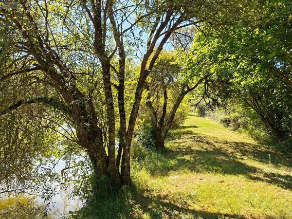 Achat - Terrain de loisirs, bois, étangs | Étang Vicq-Exemplet 36400 12100 m 2