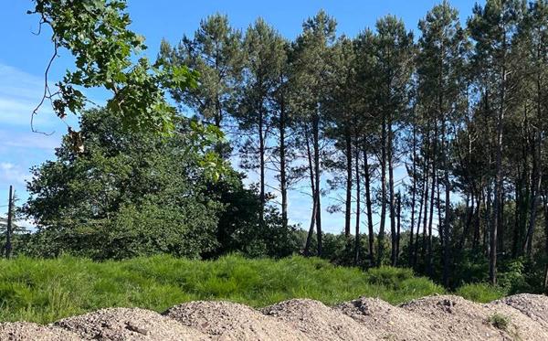 Terrain 99 000 € Lesperon 1796 m² DPE