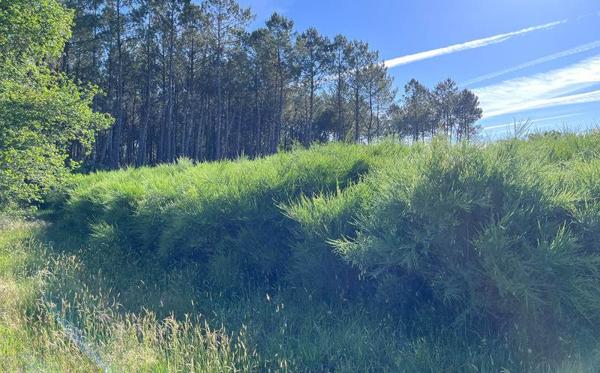 Terrain 99 000 € Lesperon 1796 m² DPE