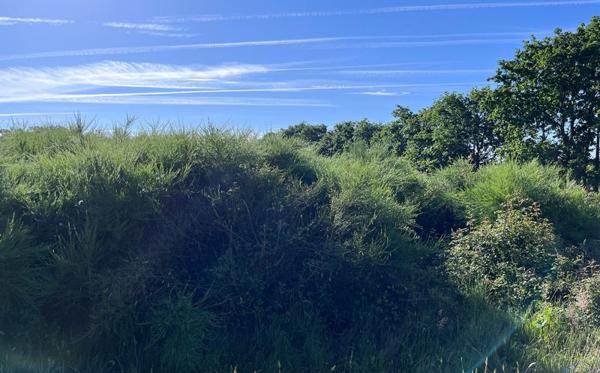 Terrain 99 000 € Lesperon 1796 m² DPE