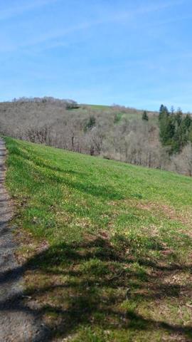Vente / Local Industriel / Bâtiment