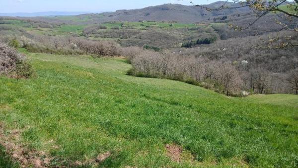 Vente / Local Industriel / Bâtiment