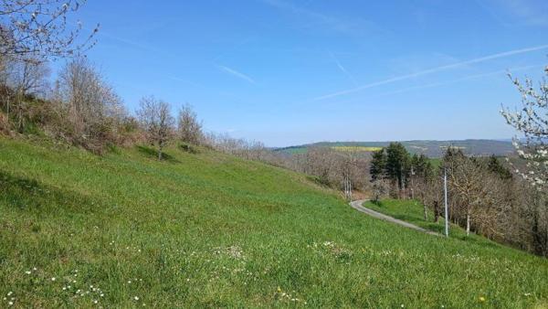 Vente / Local Industriel / Bâtiment