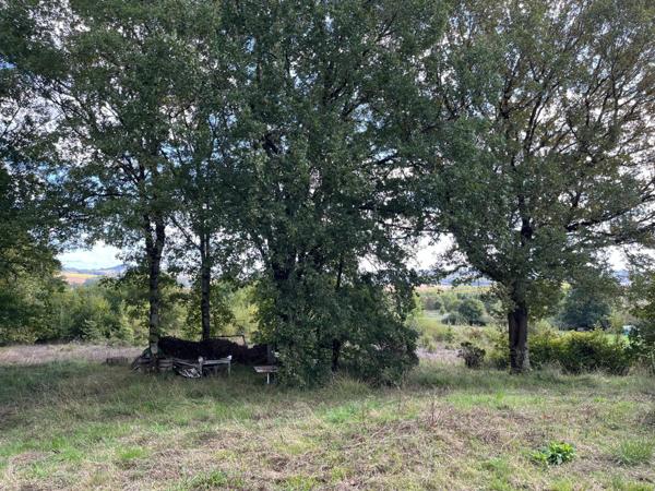 Maison sur sous sol avec garnd terrain arboré