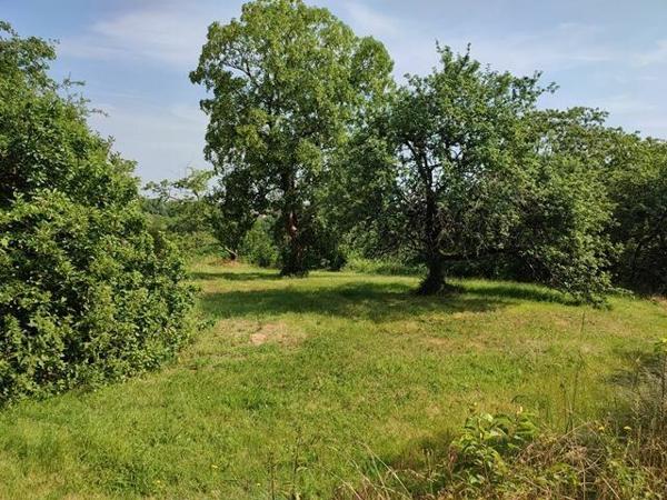 Maison à vendre    1 pièce •  La Châtre-Langlin