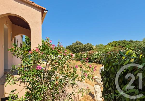 Maison à vendre  9 pièces - 282 m 2   LUMIO  - 202