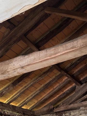 Maison 10 pièces de 300m2 à Barran proposé par Croix du sud immobilier - TMAI245881977