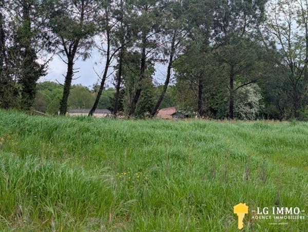 Votre recherche de biens