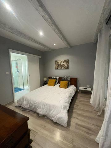 A Villeneuve maison sans aucun travaux