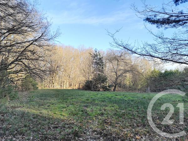 Terrain à vendre  108852 m2 VILLEFRANCHE SUR CHER - 41
