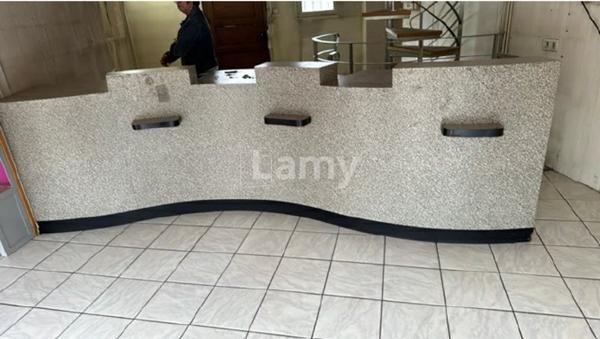 Local commercial ou professionnel