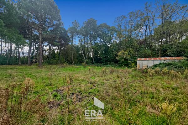 SAINT AUBIN DE MEDOC - Terrain à bâtir libre de constructeur