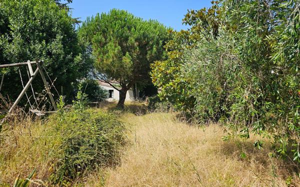 Maison à vendre    4 pièces •  Le Bois-Plage-en-Ré