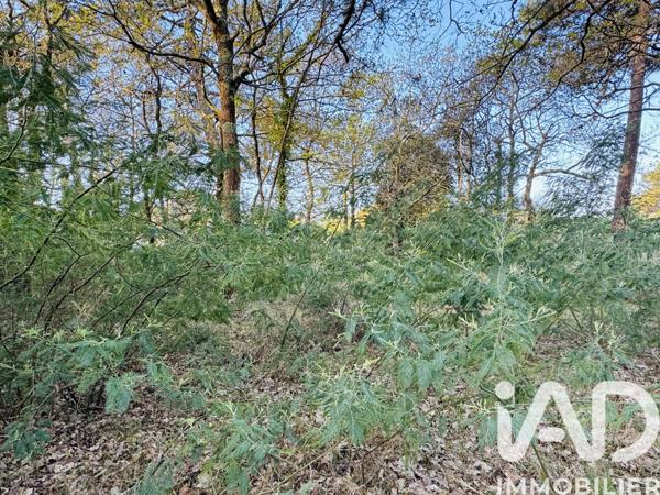 Terrain à vendre 800 m² Soulac-sur-Mer