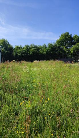 Lotissement de 2 223 m²