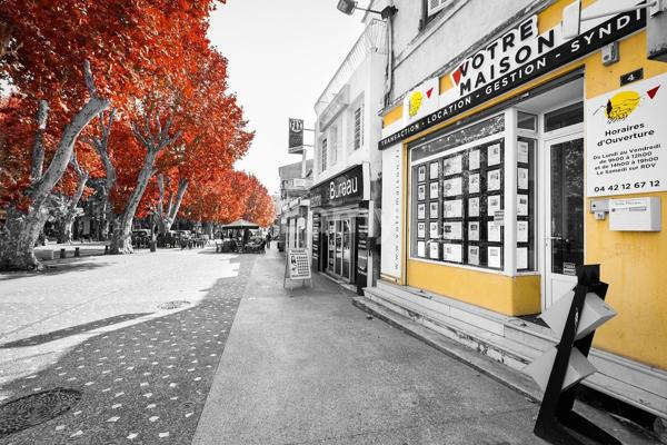 Local commercial ou professionnel