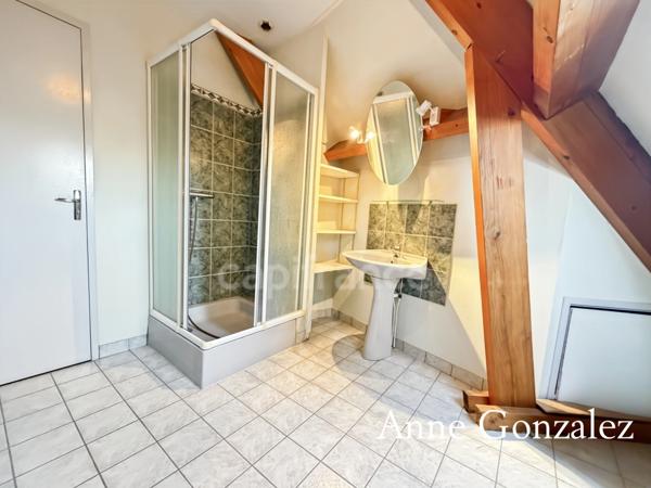 OLIVET SUD, à vendre grande Maison familiale de 240m2 édifiée sur un jardin de 1100 m2 et garage double attenant