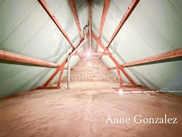 OLIVET SUD, à vendre grande Maison familiale de 240m2 édifiée sur un jardin de 1100 m2 et garage double attenant