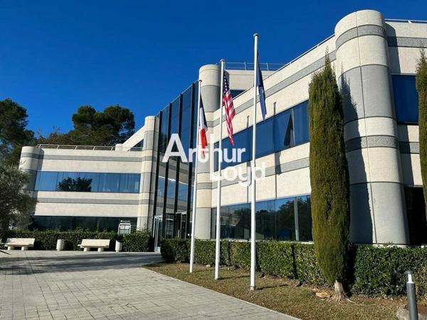 Bureaux rénovés à louer 791.30 m² divisibles dès 282.40 m² - Sophia Antipolis