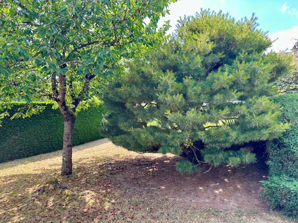 Maison à vendre 6 pièces - 3 chambres à Saumur,secteur Bagneux, vie de plein-pied avec véranda, sous-sol, jardin