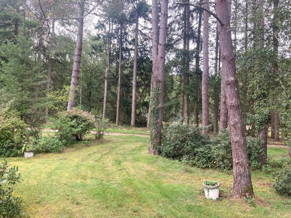 Proche LAMOTTE BEUVRON