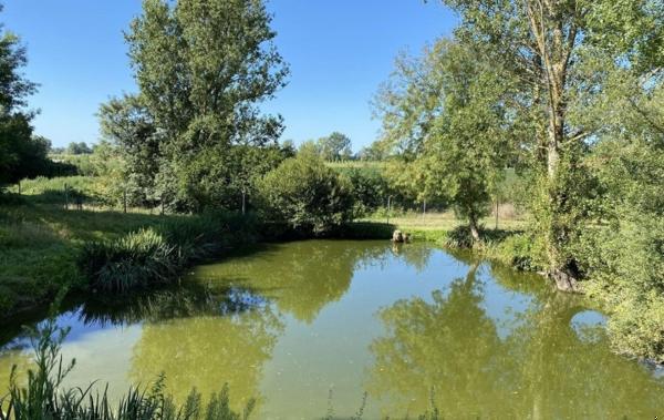 Vente Propriété Marmande   