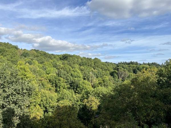 Maison à vendre |  Voutezac |  5 pièces | 200 m²