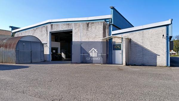 Local Commercial - 5249 m² Exclusivité