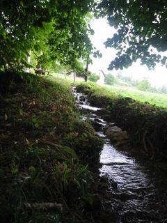 Saint-Jean-de-Chevelu (73170) ST JEAN DE CHEVEU ANCIENNE SCIERIE SUR 795 M² DE TERRAIN