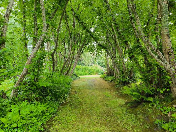 Propriété non loin des plages