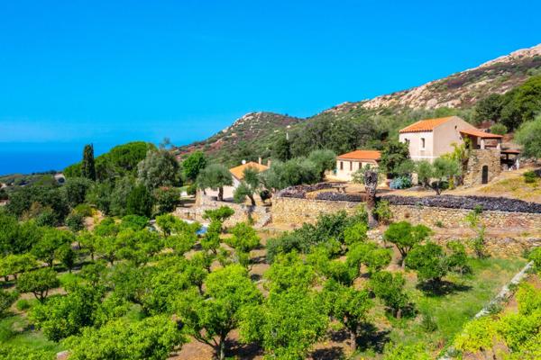 Vente Maison de luxe Lumio 9 Pièces 250 m²