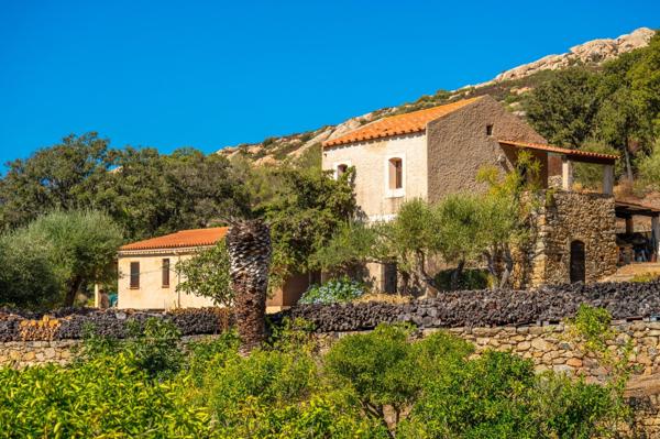 Vente Maison de luxe Lumio 9 Pièces 250 m²