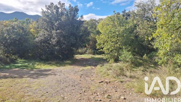 Terrain à vendre 5 345 m² Montesquieu-des-Albères