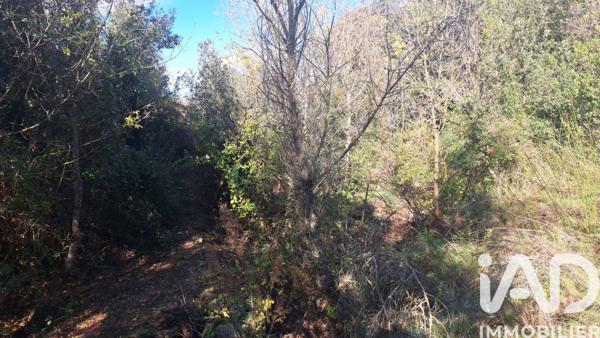 Terrain à vendre 5 345 m² Montesquieu-des-Albères