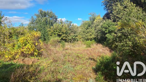Terrain à vendre 5 345 m² Montesquieu-des-Albères