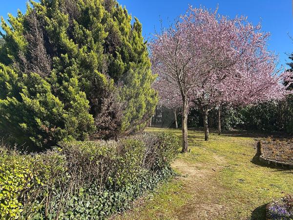 Appartement  en vente - Saint Marc - Faubourg Bourgogne