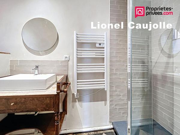 Lisle-sur-Tarn Maison de ville de caractère - 5 pièces 196m2