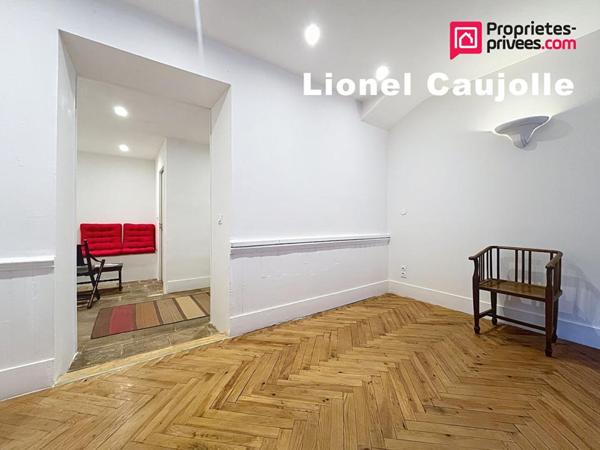 Lisle-sur-Tarn Maison de ville de caractère - 5 pièces 196m2