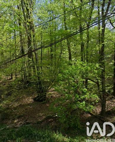 Terrain à vendre 4 600 m² Compreignac