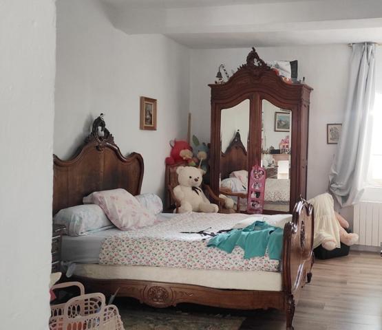 Maison de  maître de 340m² surface habitable (Surface au sol 425m²) - grenier à aménager et  cave voûtée en pierre