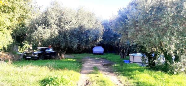 Maison de  maître de 340m² surface habitable (Surface au sol 425m²) - grenier à aménager et  cave voûtée en pierre