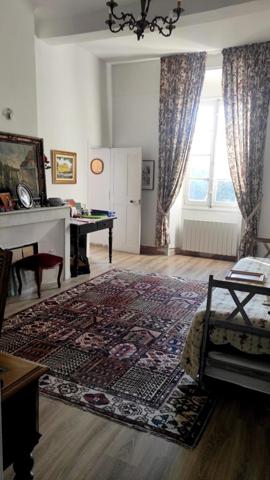 Maison de  maître de 340m² surface habitable (Surface au sol 425m²) - grenier à aménager et  cave voûtée en pierre