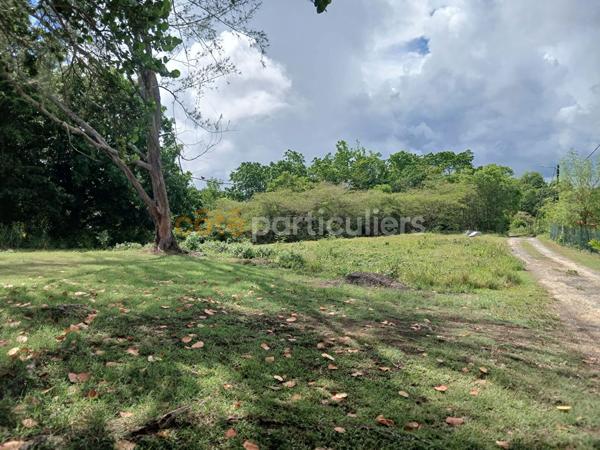 Vente
                Terrain741 m² - SAINTE ANNE (97180)