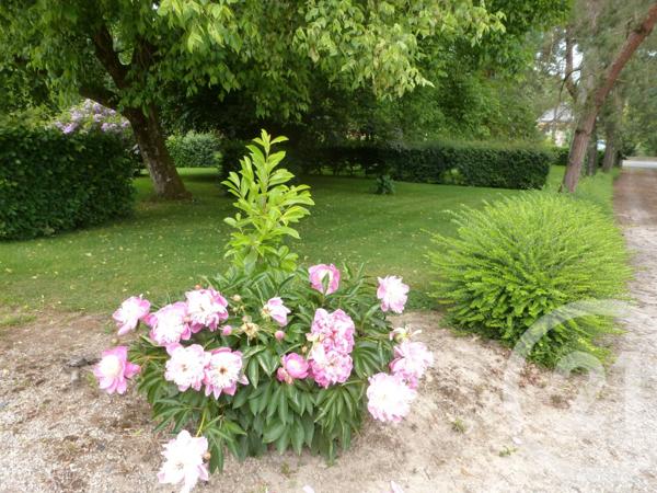 Maison à vendre  12 pièces - 374,51 m2 VITRE - 35