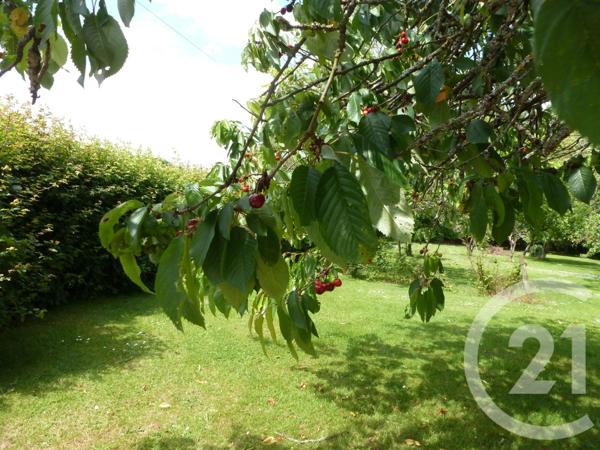 Maison à vendre  12 pièces - 374,51 m2 VITRE - 35