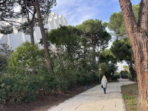 Vente / Appartement T2