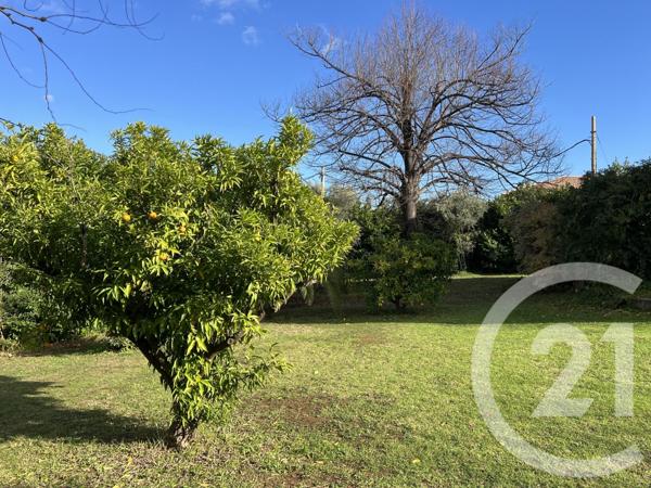 Maison à vendre  7 pièces - 240 m2 VESCOVATO - 202