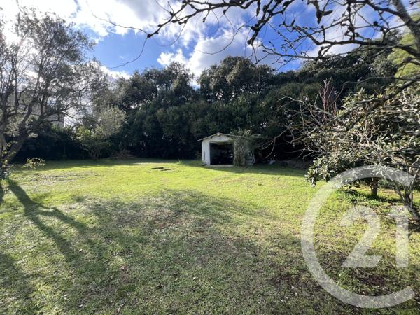 Maison à vendre  7 pièces - 240 m2 VESCOVATO - 202