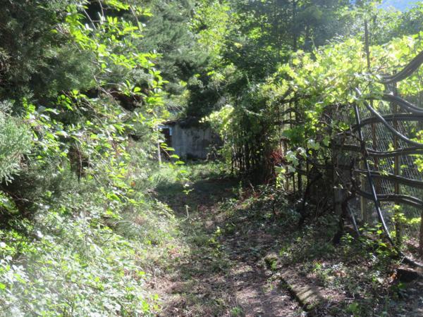 Terrain à vendre DIGNE LES BAINS (04) 1125 M2 avec C U positif