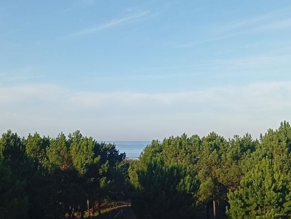 Vente appartement Saint Brevin Les Pins : 159 450 € - AJP Immobilier Saint-Brévin